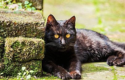 重生考虑《Apex英雄》平衡问题 未来或放缓新角色发布